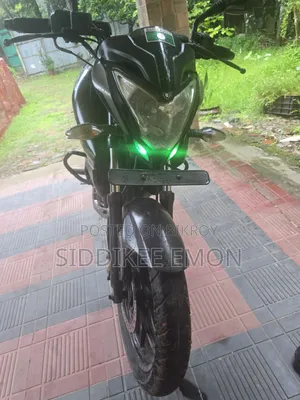 Bajaj Pulsar NS 160 2018 Gray