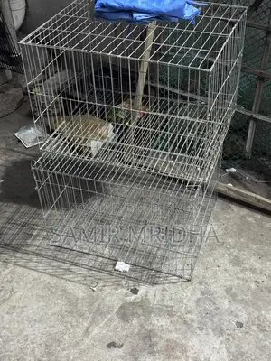 16/20 Cage 3 Pieces