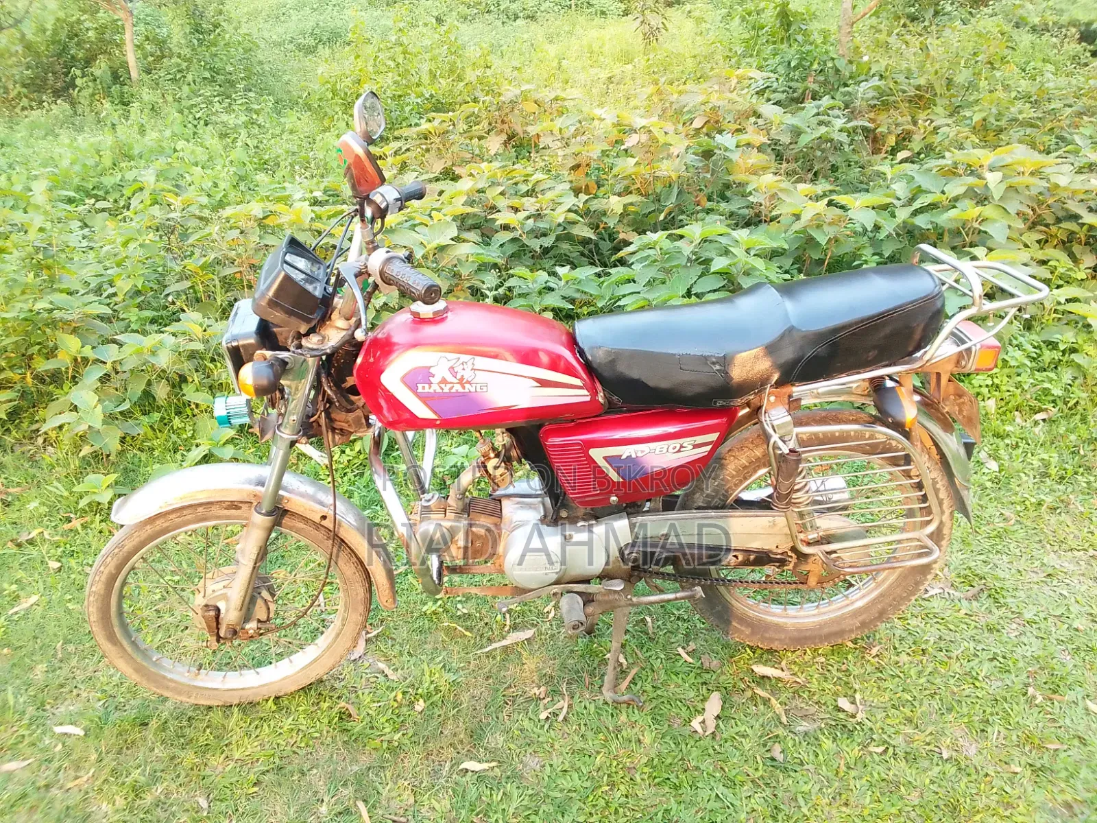Dayang APOLLO 2006 Red