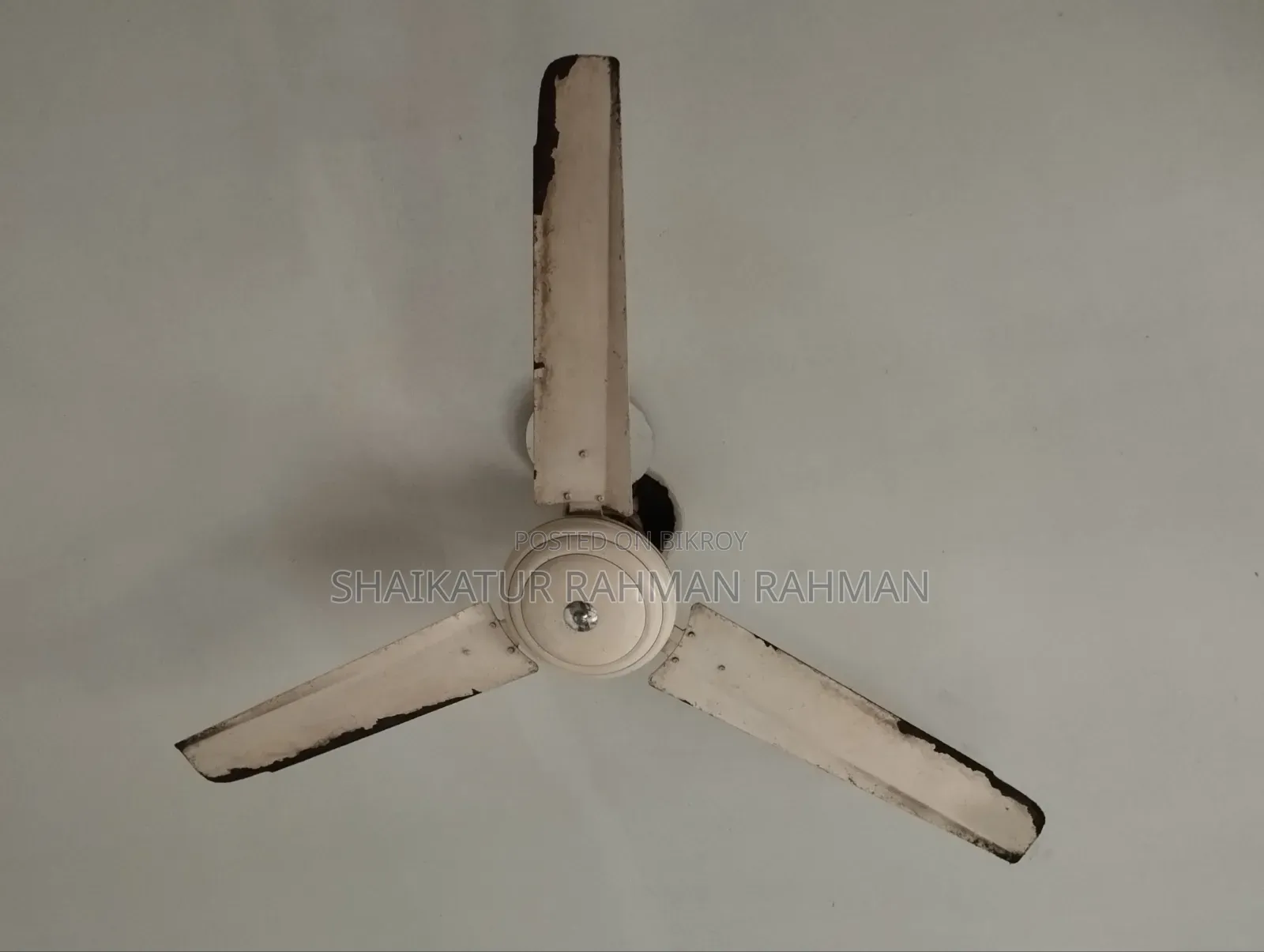 Tisha Ceiling Fan