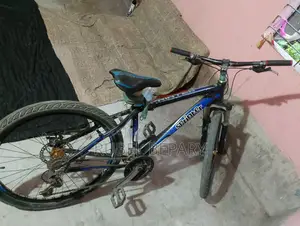 "কম দামে একটি ভালো গিয়ার সাইকেল খুঁজছেন?তাহলে এটি আপনার জন্য!"