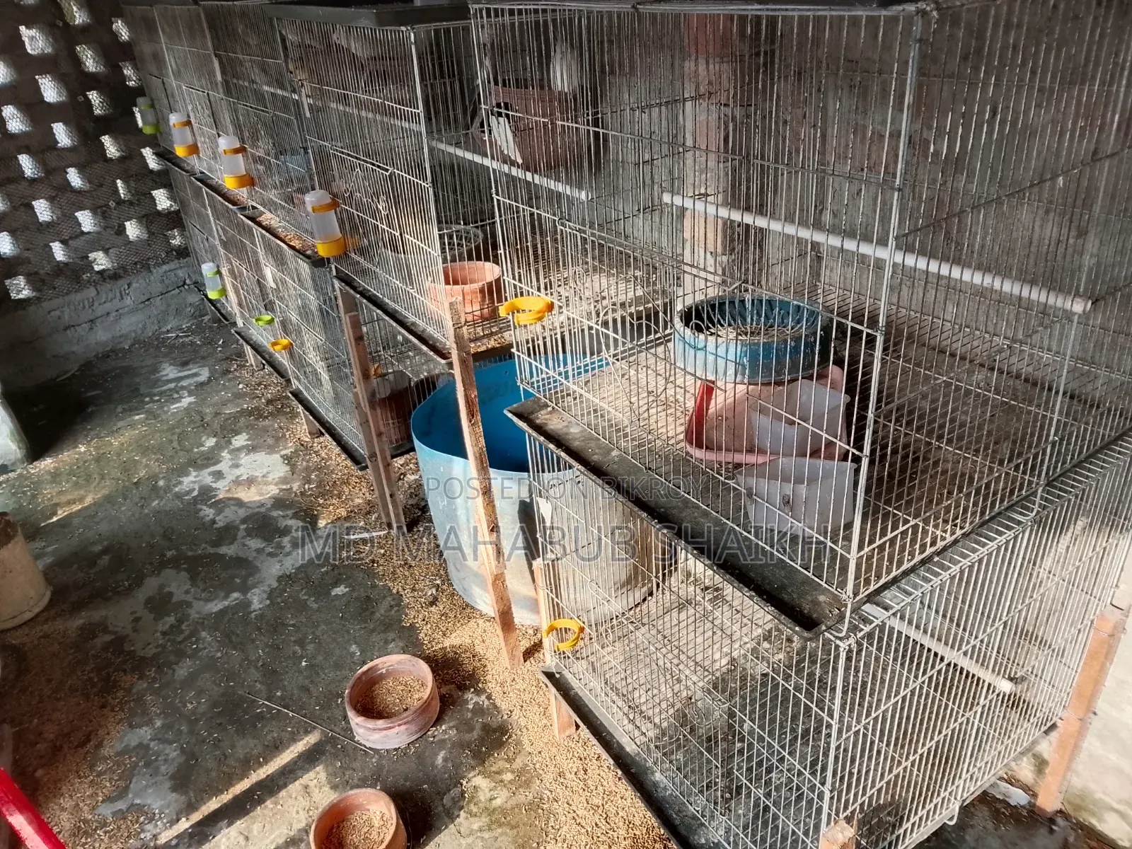 ককটেল পাখি ,খাঁচা , পানি ও খাবার পট বিক্রি