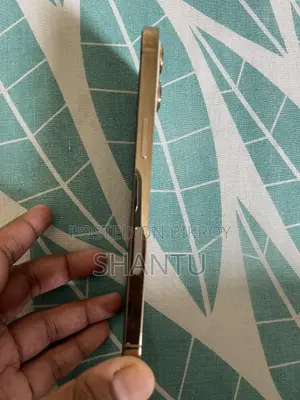 Apple iPhone 12 Pro Max 256 GB Gold
