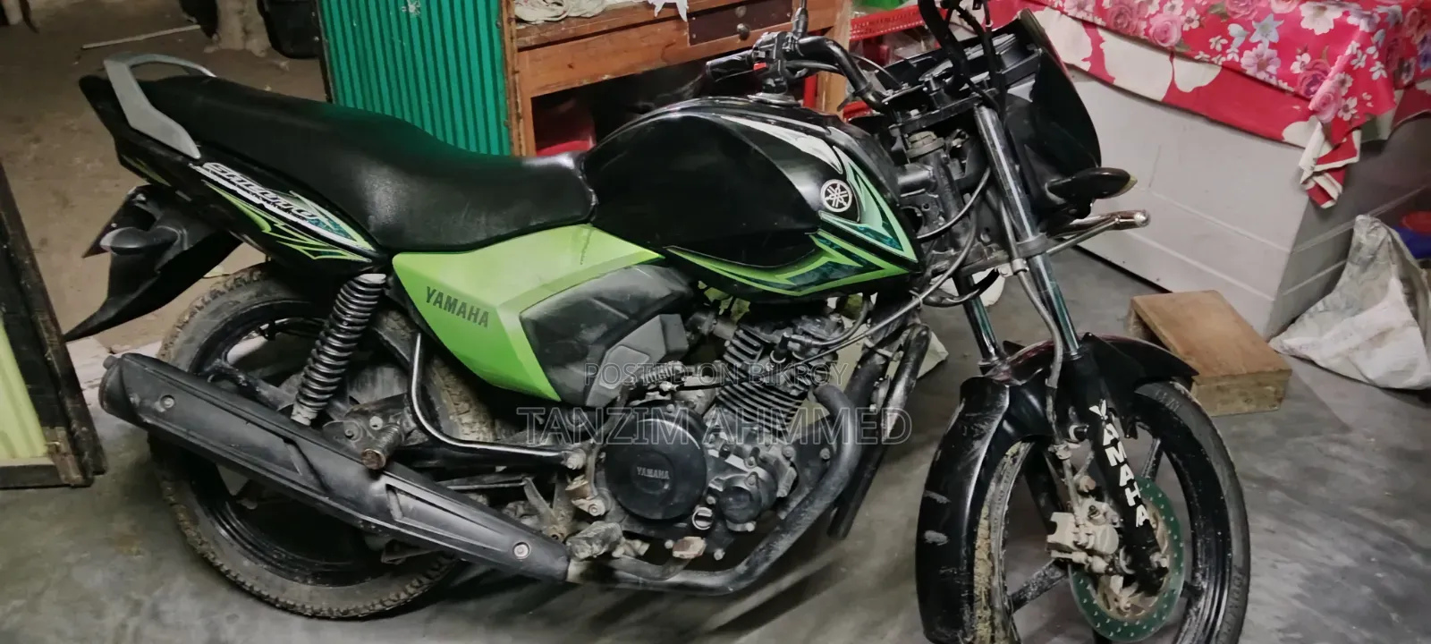 Yamaha Saluto 125 2017 Green