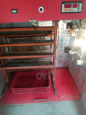 Auto Incubator