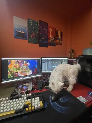 6-12 Months Male Purebred Persian