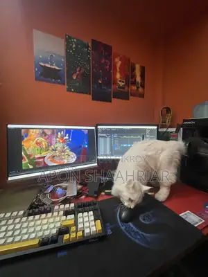 6-12 Months Male Purebred Persian