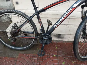 Muscular Cycle