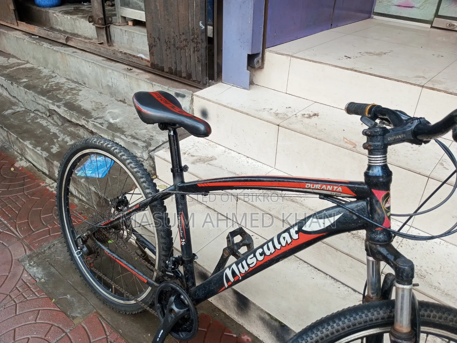 Muscular Cycle