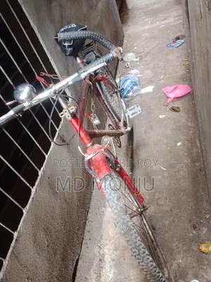 Bicycle Sales