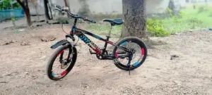 Boy Bicycle