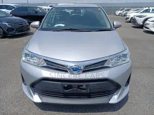 Toyota Axio 2021 Silver
