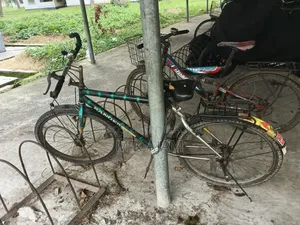 Bicycle