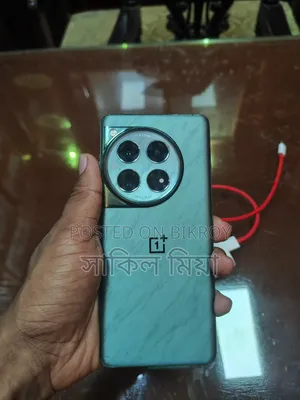 OnePlus 12 256 GB Green