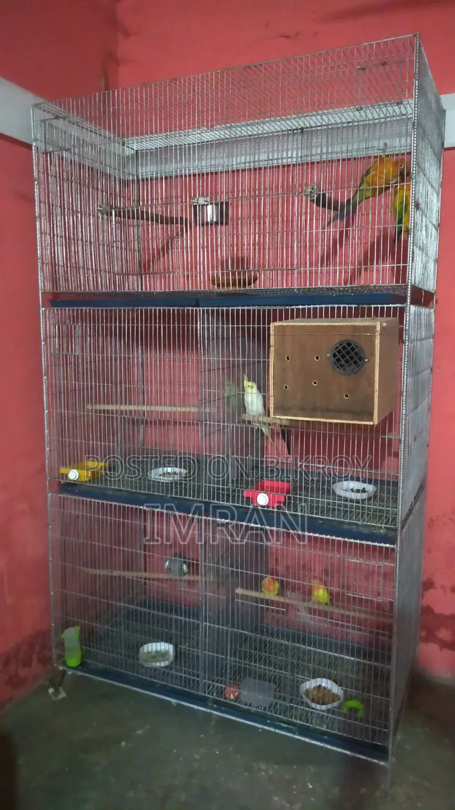 Bird Cage