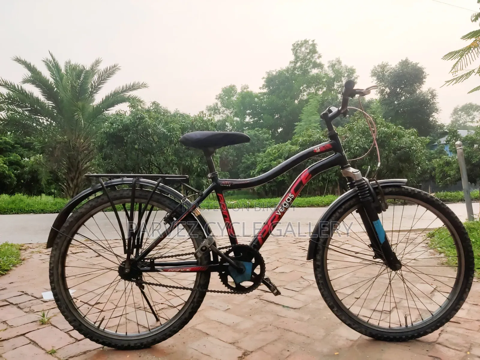 Prince 24-inch Bicycle | Fully Serviced | Ready to Ride | 4,500 BDT