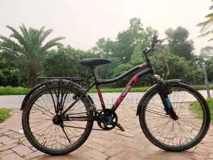 Prince 24-inch Bicycle | Fully Serviced | Ready to Ride | 4,500 BDT