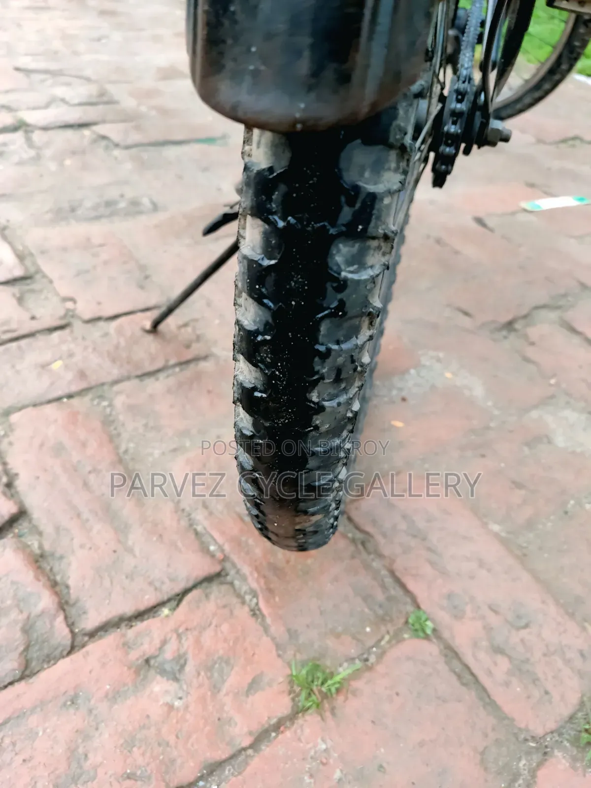 Prince 24-inch Bicycle | Fully Serviced | Ready to Ride | 4,500 BDT