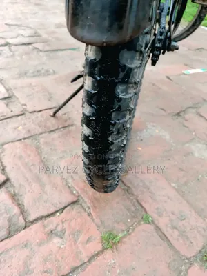 Prince 24-inch Bicycle | Fully Serviced | Ready to Ride | 4,500 BDT