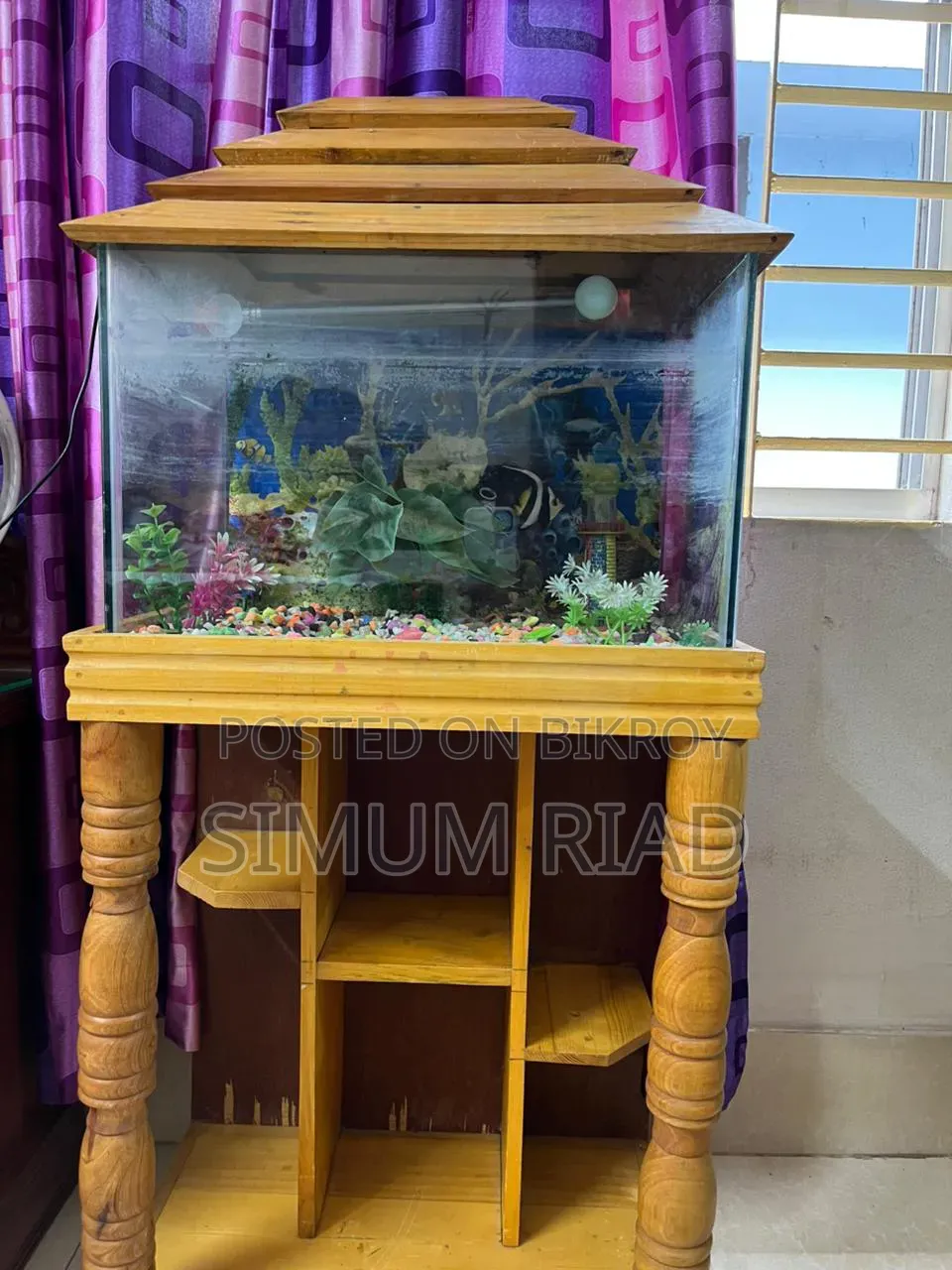 Aquarium Full Setup