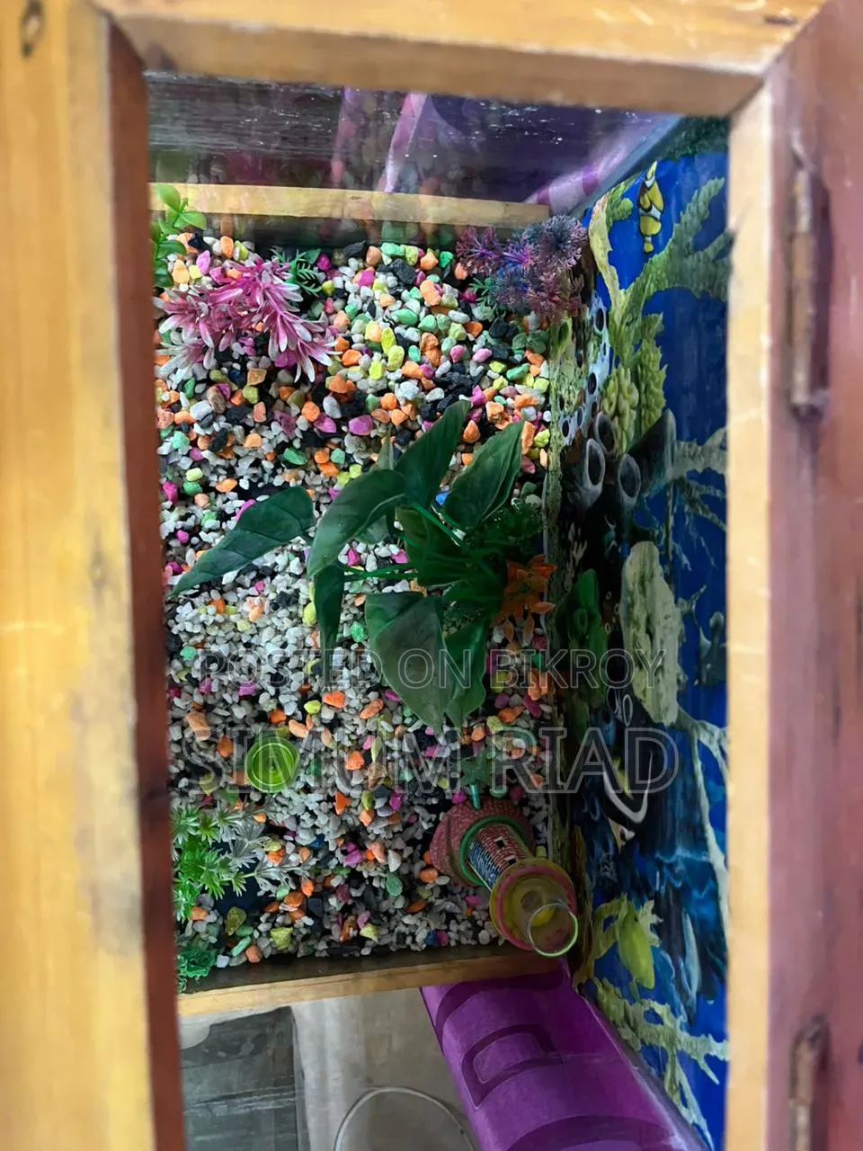 Aquarium Full Setup