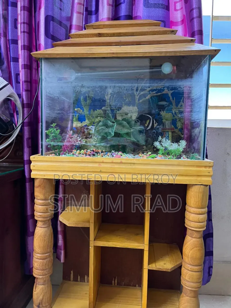 Aquarium Full Setup