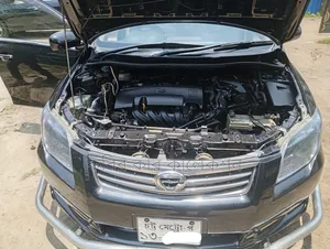 Toyota Axio 2011 Black