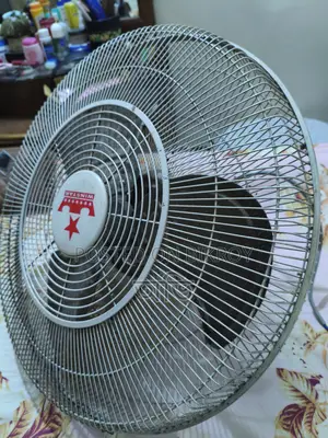 Ceiling Mounted Fan-large Size (20inch)