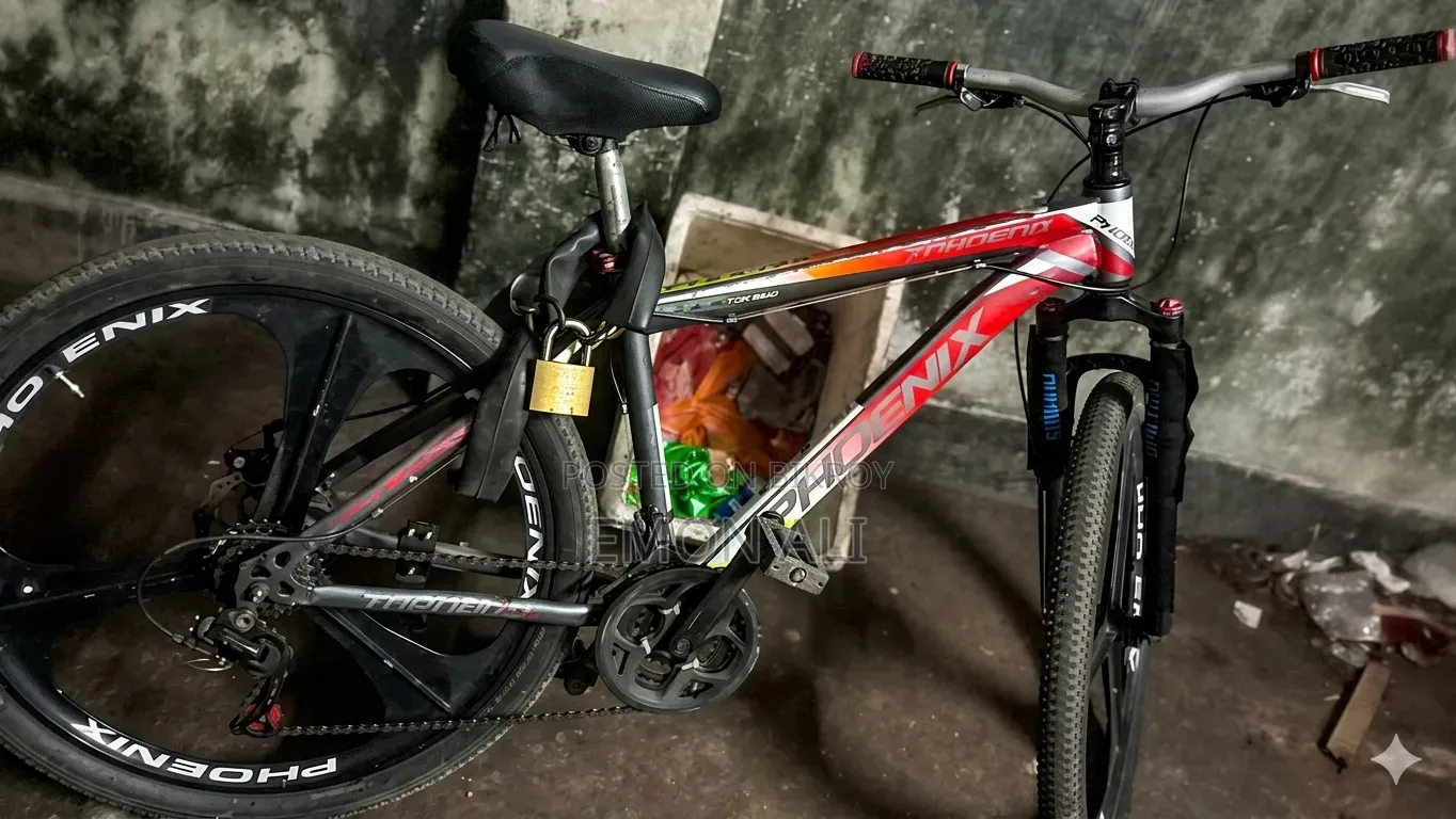 Phoenix gear cycle for sale