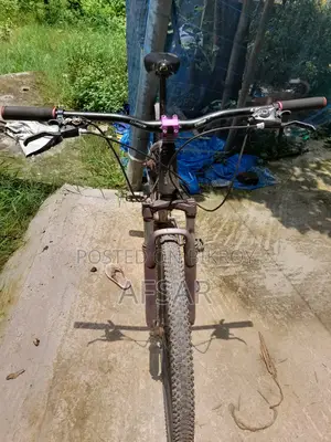 Phoenix MTB Cycle