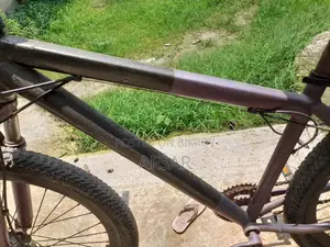 Phoenix MTB Cycle