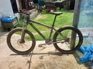 Phoenix MTB Cycle