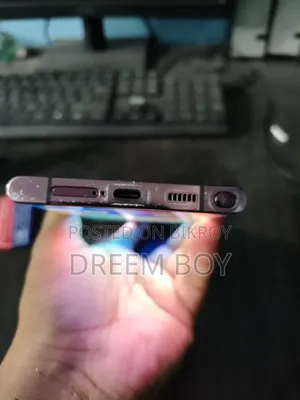 Samsung Galaxy S22 Ultra 256 GB Silver