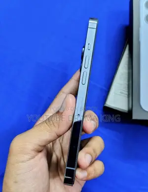 অ্যাপল আইফোন ১৩ প্রো ম্যাক্স ২৫৬ জিবি গ্রে