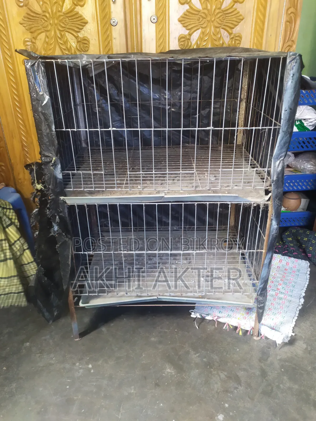 বাজিগর পাখি