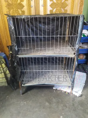 বাজিগর পাখি