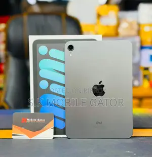 Apple iPad Mini 7 256 GB Gray