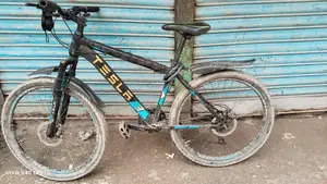 Tesla Bicycle - 26