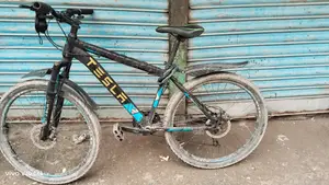 Tesla Bicycle - 26