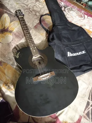 সিগনেচার গিটার