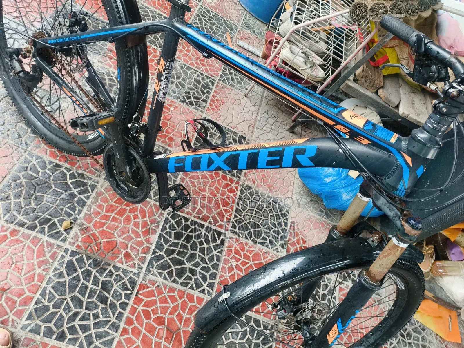 Phoenix G31 Mountain Bike for Sale