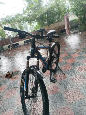 Phoenix G31 Mountain Bike for Sale
