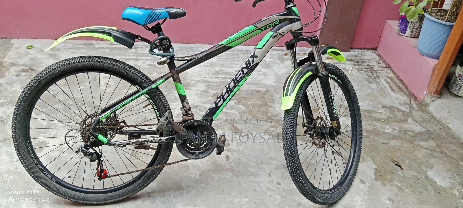 Phoenix Cycle