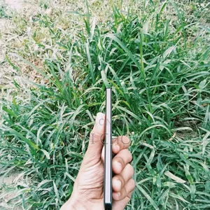 Xiaomi 256 GB Black