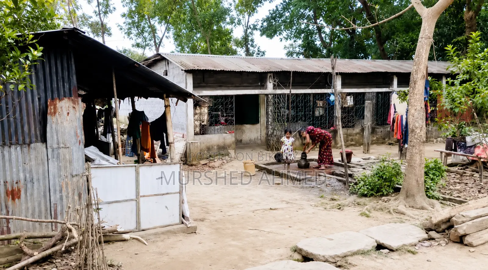 জরুরি বিক্রয়ের জন্য ৬-রুমের কলোনিসহ জমি