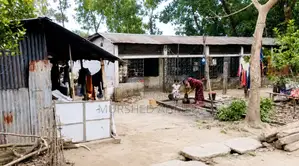 জরুরি বিক্রয়ের জন্য ৬-রুমের কলোনিসহ জমি