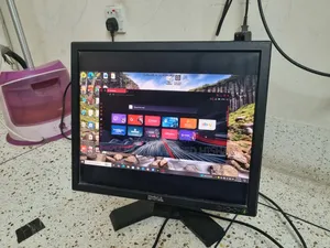 Computer Monitor