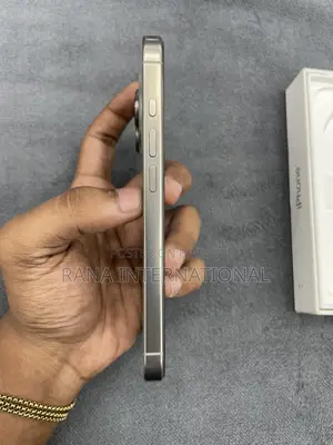 Apple iPhone 16 Pro 256 GB Gray