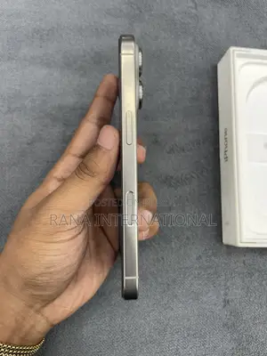Apple iPhone 16 Pro 256 GB Gray