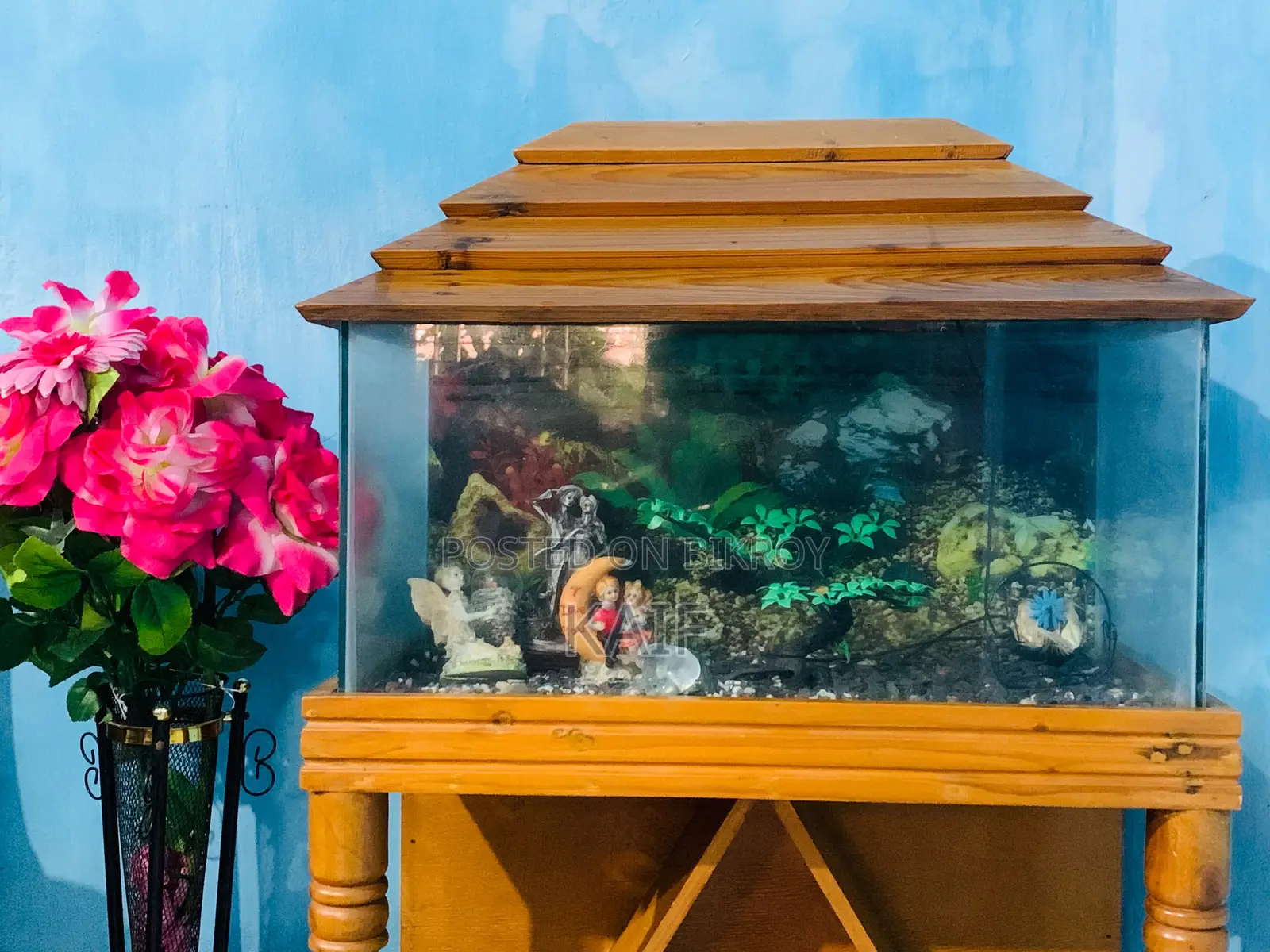 Aquarium